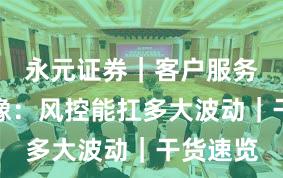 永元证券｜客户服务平台画像：风控能扛多大波动｜干货速览