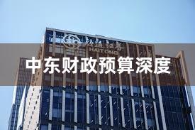 中东财政预算深度