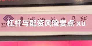 杠杆与配资风险要点 xu