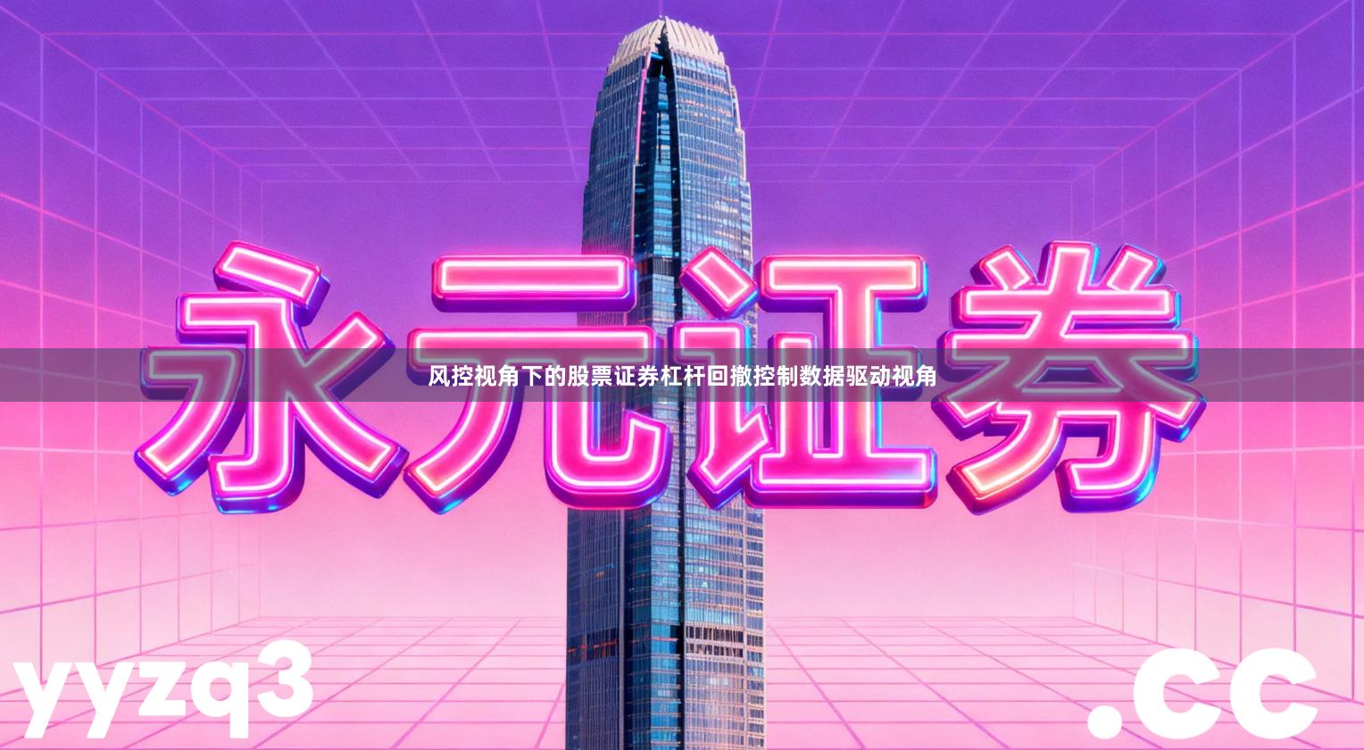 风控视角下的股票证券杠杆回撤控制数据驱动视角